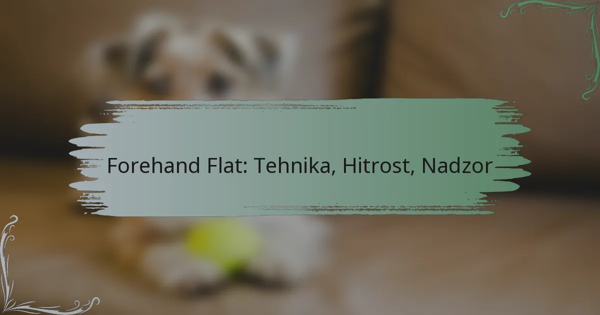 Forehand Flat: Tehnika, Hitrost, Nadzor