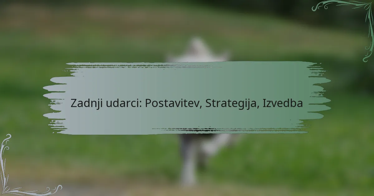 Zadnji udarci: Postavitev, Strategija, Izvedba